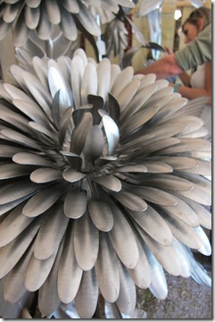IMG_4331 IMG_4331