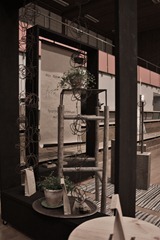 IMG_4484