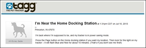 near the home docking station near the home docking station
