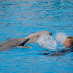 2010-05-09 Lipperswill (486).jpg