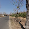 dsc07494.jpg