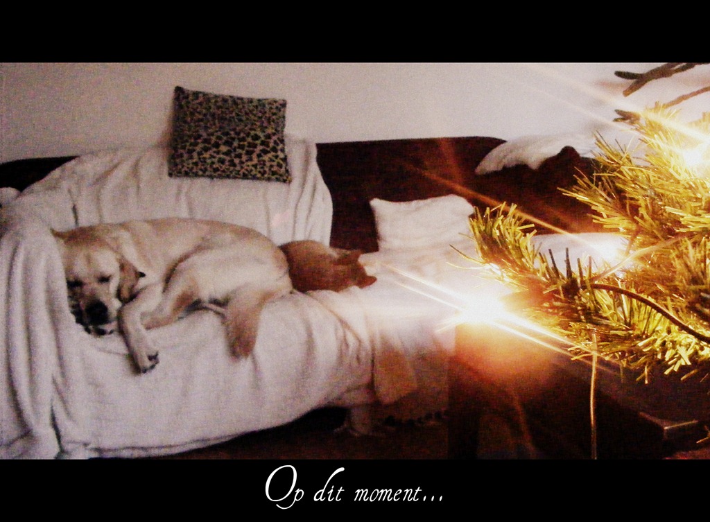 [Op%2520dit%2520moment...%255B4%255D.jpg]