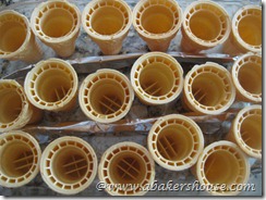 rows of ice cream cones rows of ice cream cones