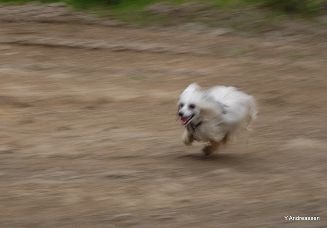 [DSC_6586%255B2%255D.jpg]