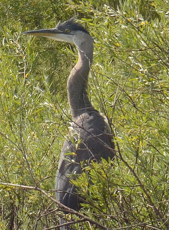 [2012-06-034%255B4%255D.jpg]