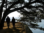 P1110555.JPG