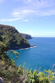 DSC_0341.jpg