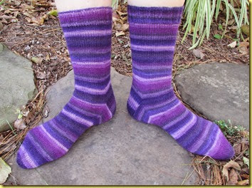 purple crop purple crop