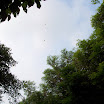 20060819_22_kenting_066.jpg