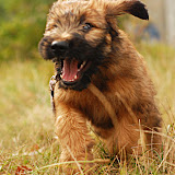 Abi - DSC_0154.JPG