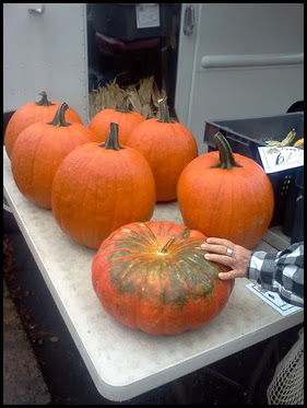 pumpkins