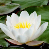 DSCF7409.jpg