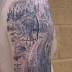 Moose Behind Bear