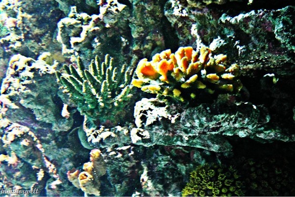 6BeFunky_HDR_1.jpg 6BeFunky_HDR_1.jpg