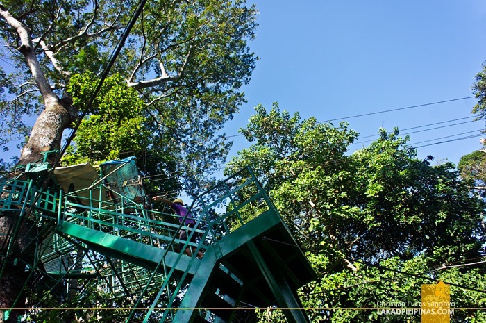 The Tree Tops at Subic's Tree Top Adventure