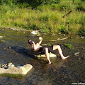 img_1245783000_916_lg.jpg