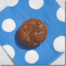 carrot cake protein muffin 2