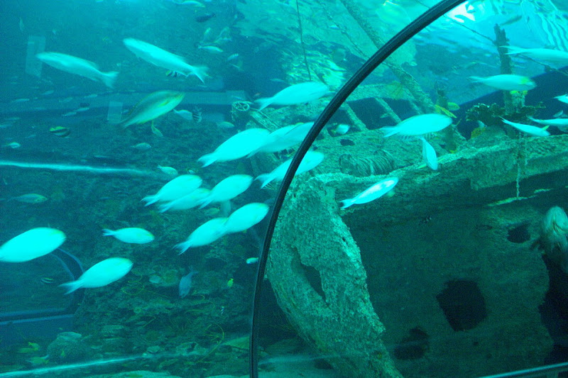 img_029.jpg