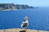 DSC_0169.JPG