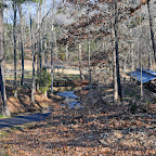 Harris Shoals Stream Harris Shoals Stream