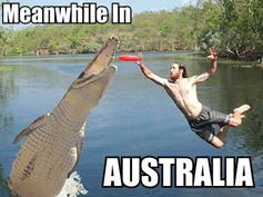 [Meanwhile%2520in%2520Australia%255B3%255D.jpg]