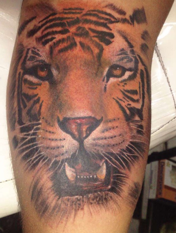 tattoo tigre