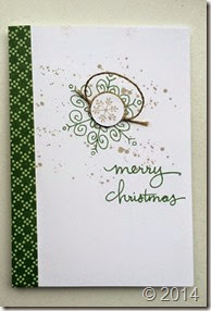 IMG_2790 IMG_2790