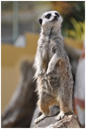 [image%255B16%255D.png]