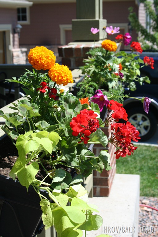 [garden%2520home%2520july%25202012%2520079%255B5%255D.jpg]