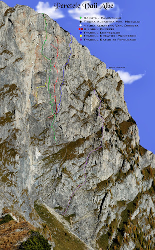 2013.06.22 - Costila - Traseul Lespezi 5A, 6+, 5 A0, 10lc