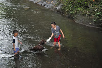 pinoyecofarm november_0079.JPG