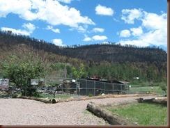 IMG_3910 IMG_3910