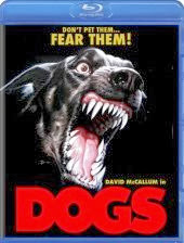 dogs dogs