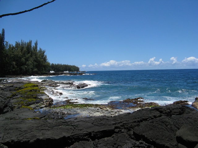 [IMG_7745%255B2%255D.jpg]