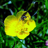 DSCF6938.jpg