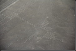IMG_4988 IMG_4988