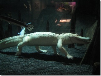 IMG_5344 IMG_5344