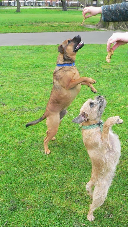 [012%2520-%252003%2520-%2520Charlie%2520%2526%2520Barney%2520jumping%255B13%255D.jpg]