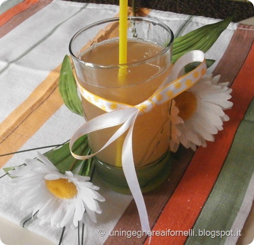 succo frutta homemade casalingo fruit juice pere pesche susine banana kiwi mele apple pear peach apricot plum marmellata succo frutta homemade casalingo fruit juice pere pesche susine banana kiwi mele apple pear peach apricot plum marmellata