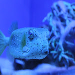 IMG_1479.JPG