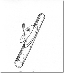 Β Β
