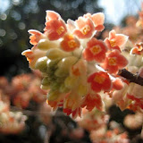 201002