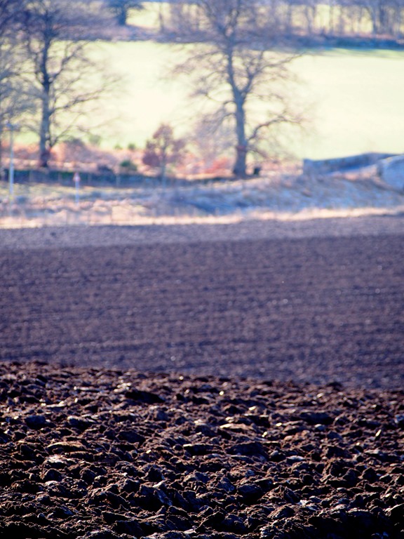 [10%2520Feb%252045-001%255B3%255D.jpg]