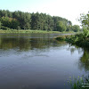 dsc05181.jpg