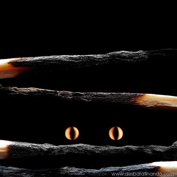 matchstick-art-stanislav-aristov-fosforos-fogo-arte-desbaratinando (11) matchstick-art-stanislav-aristov-fosforos-fogo-arte-desbaratinando (11)