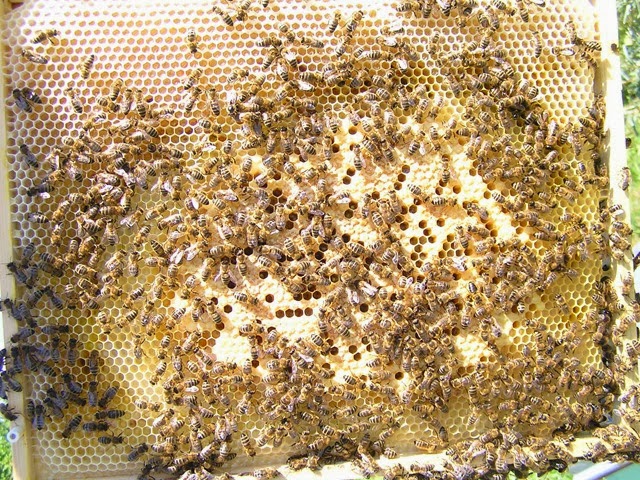 [termosol%25C3%25A1rn%25C3%25AD%2520ulek%2520osazen%25C3%25AD%2​52023%252C062013%2520055%255B2%255D.jpg]