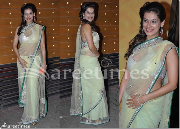 Green_Embrodiery_Shimmer_Saree