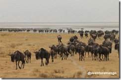 Gnus 2 Gnus 2