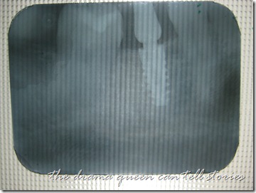IMG_3838 IMG_3838