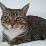 Toots als fotomodel! Toots als fotomodel!